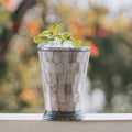 Mother of Pearl Julep Cup