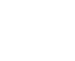 Bull In China Logo