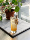 Dehydrated Apple Garnish by Dehy - Bull In China